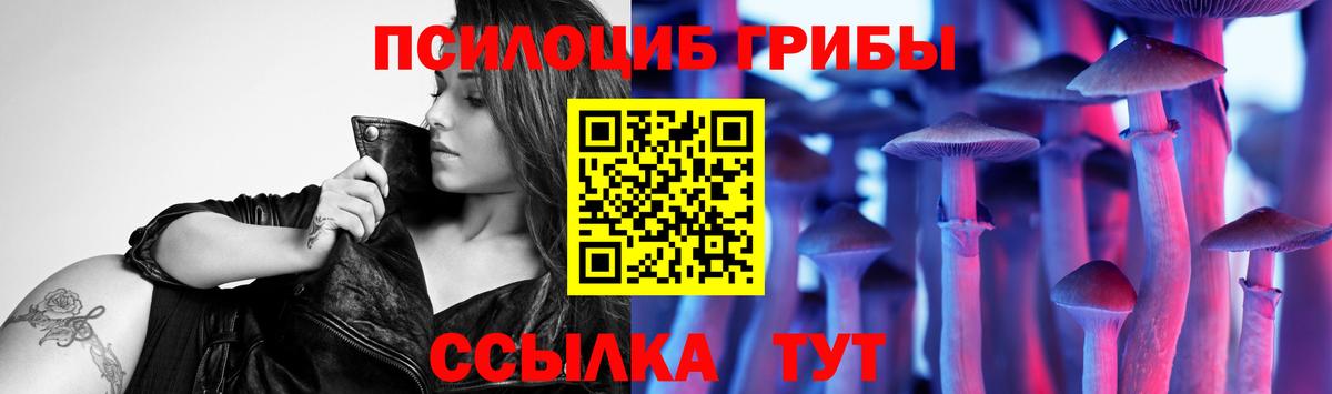 Галлюциногенные грибы Magic Shrooms  Вход с VPN  Новоалтайск 